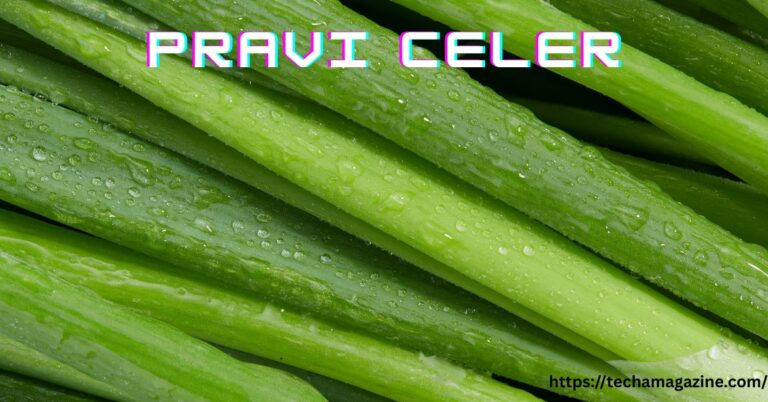Pravi Celer